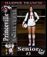 PHS VB Senior Banners 2024-25